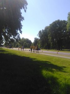 IMG_20160602_104901